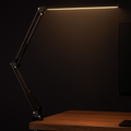 Articulated Clamp Desk Lamp
